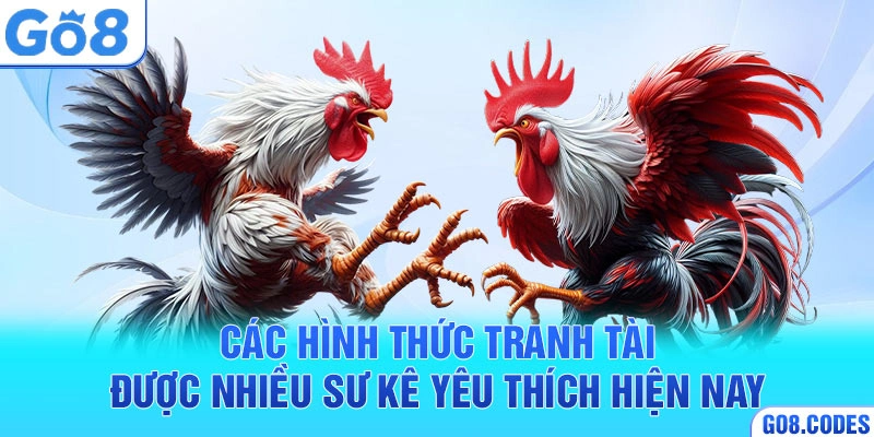 Các hình thức tranh tài được nhiều sư kê yêu thích hiện nay