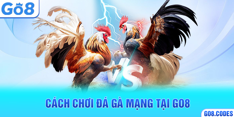 Cách chơi đá gà mạng tại Go8