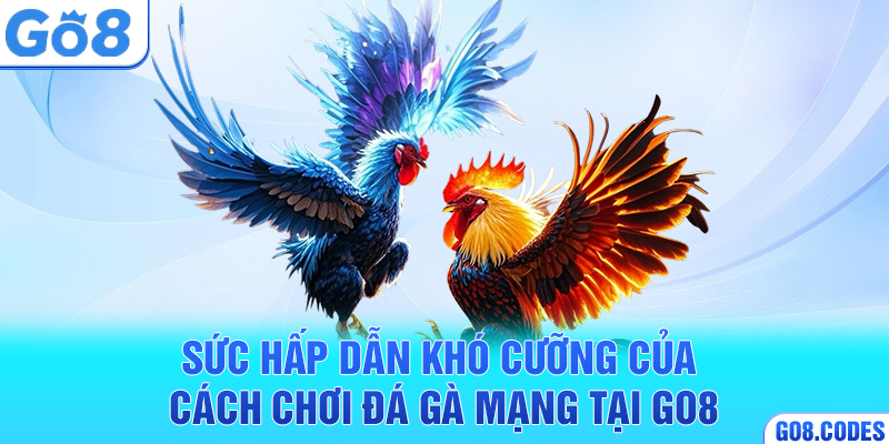 Sức hấp dẫn khó cưỡng của cách chơi đá gà mạng tại Go8