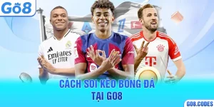 Cách soi kèo bóng đá tại Go8
